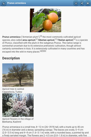 Directory of fruit trees screenshot 2