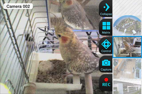 Wansview Camera Viewer screenshot 3