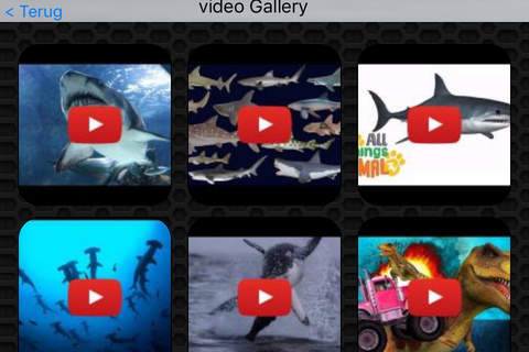 Shark Photos & Video Galleries FREE screenshot 2