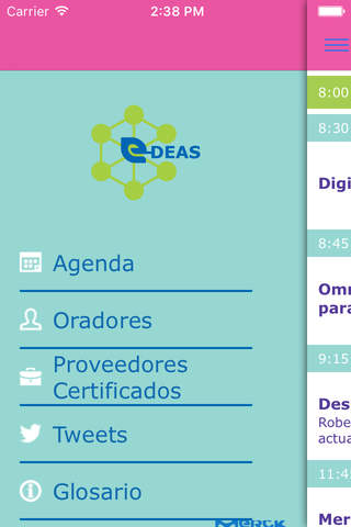 e-DEAS screenshot 2