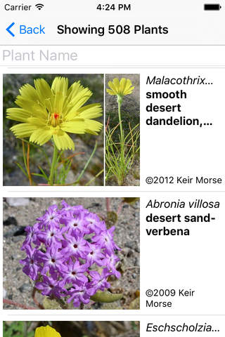 Death Valley Wildflower Search screenshot 3
