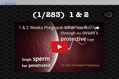 Pregnancy Week by Week Photos and Videos FREE- Learn about the development of your baby and your body screenshot 4