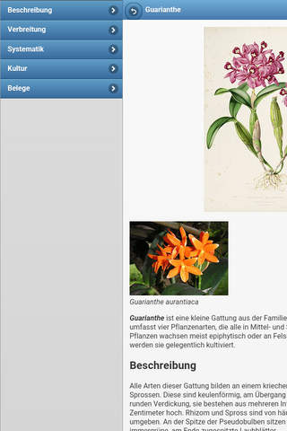 Perennial herbs screenshot 3
