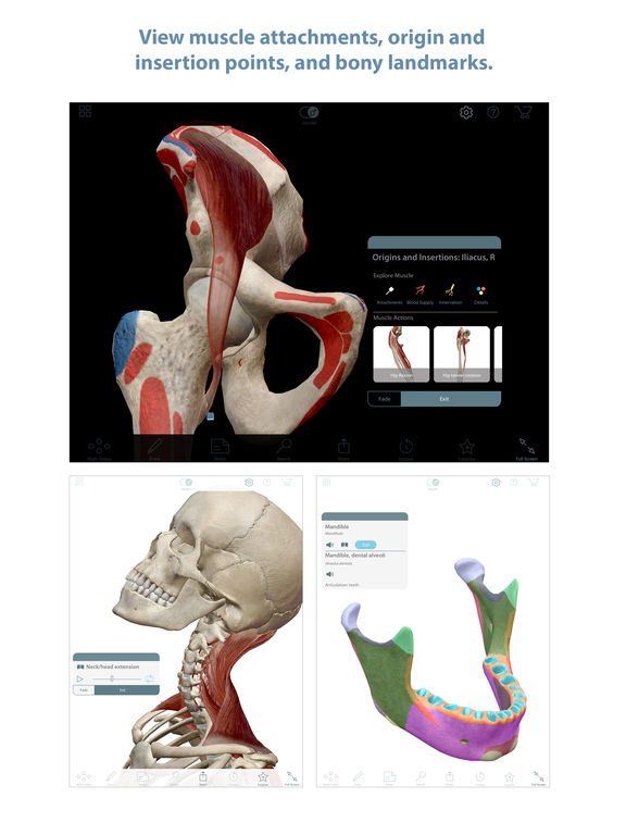 3D Muscle Premium 2 Ipa Download App