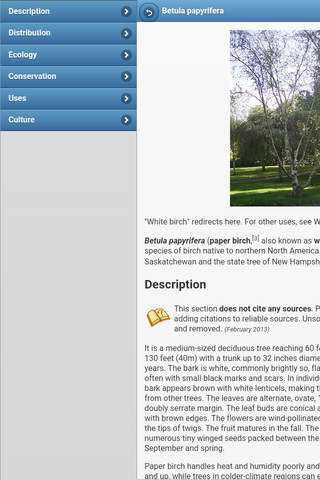 Directory of trees screenshot 3