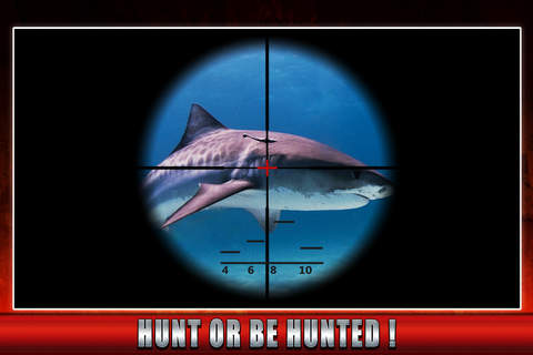 Hunt Hungry Shark underwater sim 2016 screenshot 3