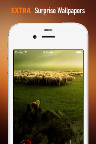 Sheep Wallpapers HD: Quotes Backgrounds with Art Pictures screenshot 3