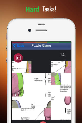 Memorize Human Nervous System Anatomy by Sliding Tiles Puzzle: Learning Becomes Fun screenshot 4