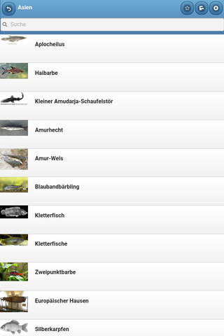 Directory of fishes screenshot 2