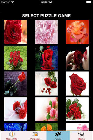 Roses Wallpaper HD Roses Information And Games screenshot 2