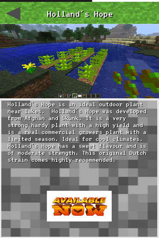 WEED MOD PIXEL ART FOR MINECRAFT PC : COMMANDS AND GUIDE screenshot 3