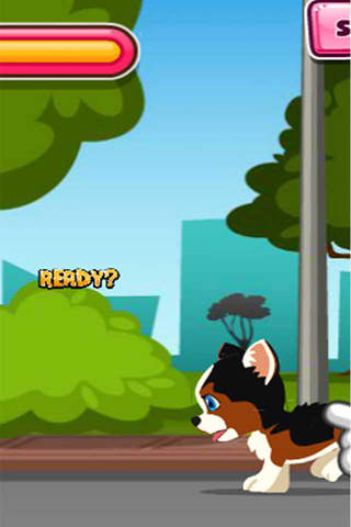 Puppy Pet Care:Correction d'un bug screenshot 3