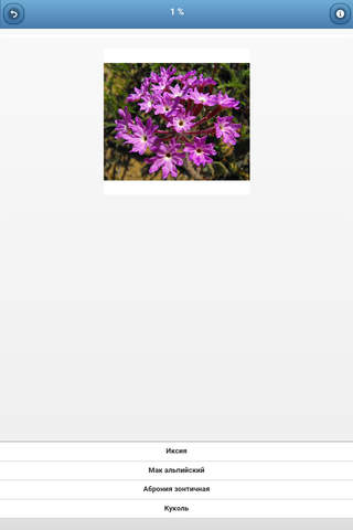 Flower beds - quiz screenshot 2