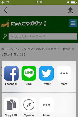 ねこだけ screenshot 3