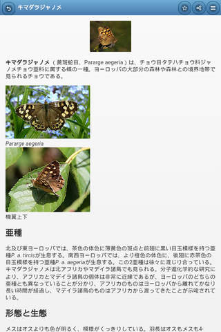 Directory of butterflies screenshot 3