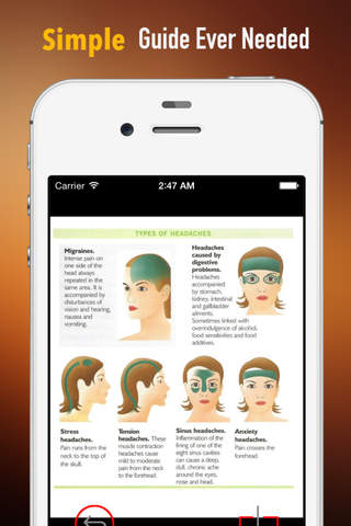 Head Massage for Beginners:Techniques and Tutorial screenshot 2