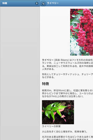 Directory of fruit screenshot 3