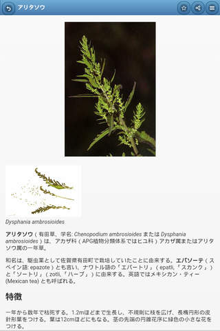 Medicinal herbs screenshot 2