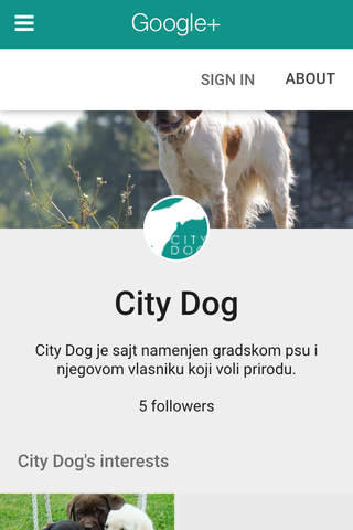 City Dog screenshot 4