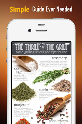 Spice 101:Recipes and Guide screenshot 2