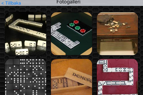 Dominoes Photos & Videos FREE |  Amazing 213 Videos and 27 Photos  |  Watch and Learn screenshot 4