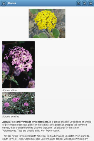 Flower beds screenshot 2