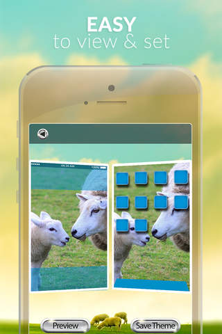 Sheep Gallery HD – Retina Wallpapers , Animal Themes and Background screenshot 3