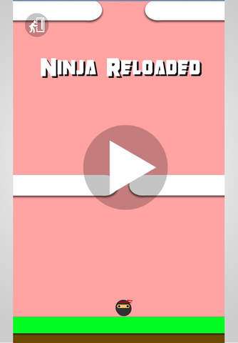 Ninja Reloaded screenshot 3