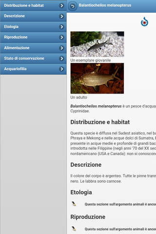 Directory of fishes screenshot 4