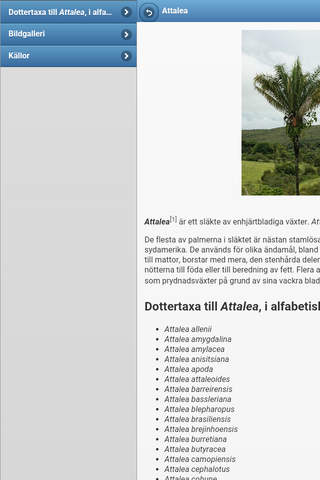 Directory of palma screenshot 3