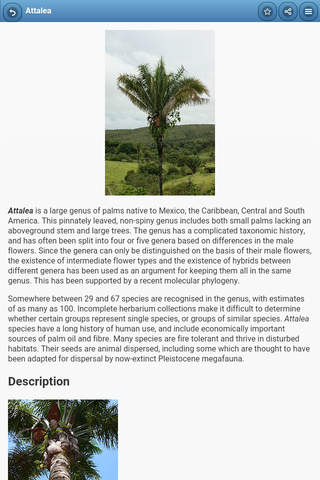 Directory of palma screenshot 2