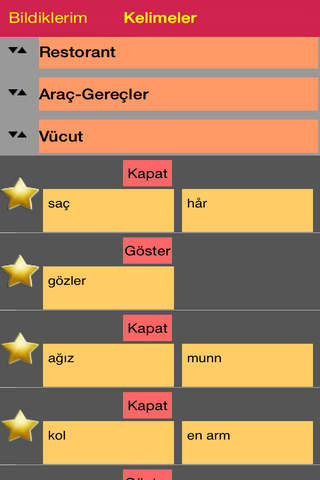 Norveççe Dil Koçu screenshot 2