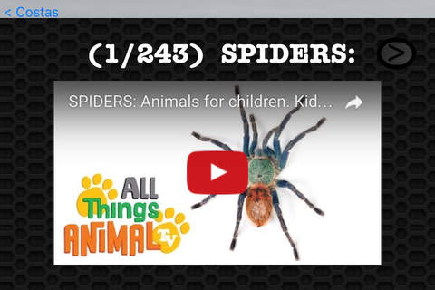 Spider Photos & Video Galleries FREE screenshot 3