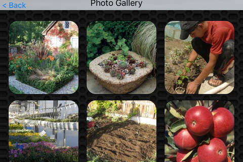 Gardening Photos & Videos | Amazing 359 Videos and 56 Photos | Watch and learn screenshot 4