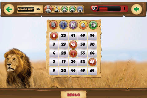 Bingo Safari Pro! screenshot 2