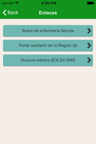 SATSE Murcia screenshot 2