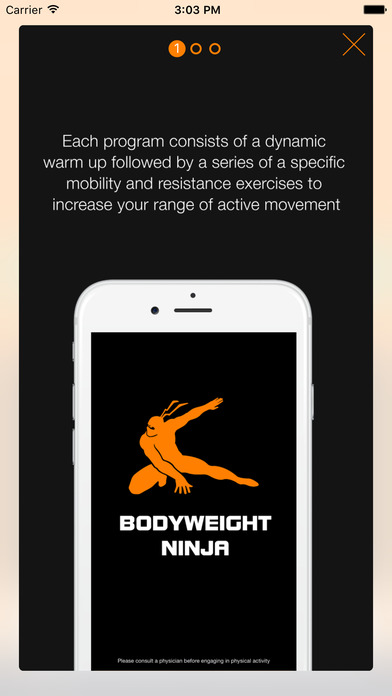 iPhone Screenshot 2