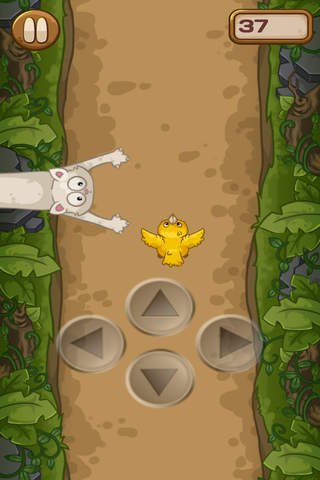 Birdy Track - Angry Cat Escape PRO screenshot 3