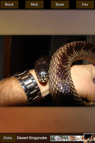 Snakes Info screenshot 3