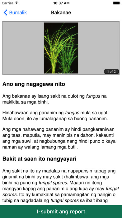 Rice Doctor Tagalog screenshot 4
