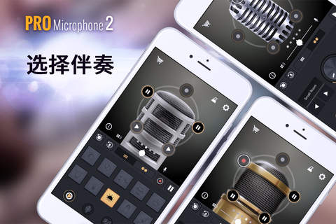 Pro Microphone 2 - Voice Looper & Recorder screenshot 3