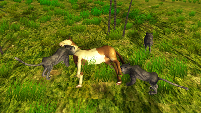 Horse Simulator - Ultimate Wild Animal screenshot 3
