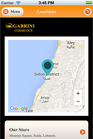 Gabrini Cosmetics Lebanon screenshot 4