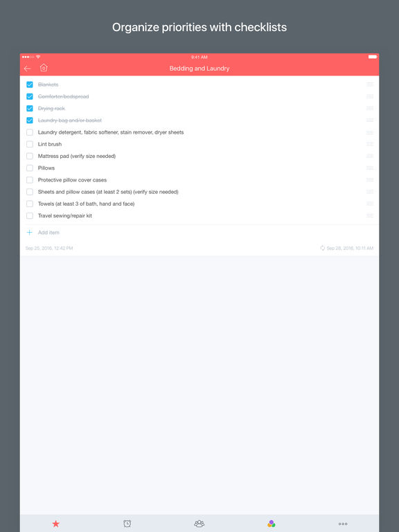 iPad Screenshot 5