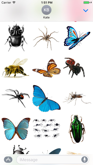 Insect Stickers for iMessage screenshot 2