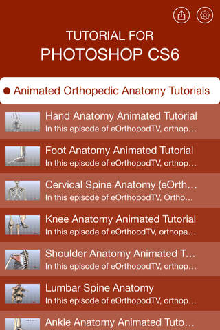 Animated Orthopedic Anatomy Master screenshot 4