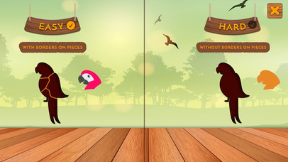 Bird Puzzle for Kids screenshot 4