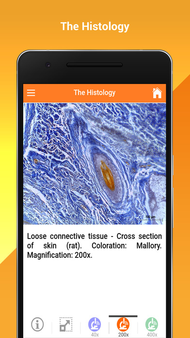 The Histology screenshot 2