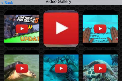 Hawk Video and Photo Gallery Premium screenshot 2