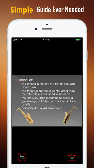 Self Learn Saxophone: Beginner Skills and Tutorial screenshot 2